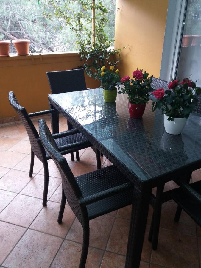 Apartman Lucica Zadar Exterior foto