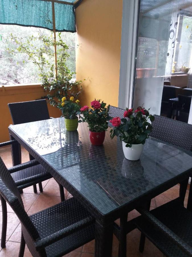Apartman Lucica Zadar Exterior foto